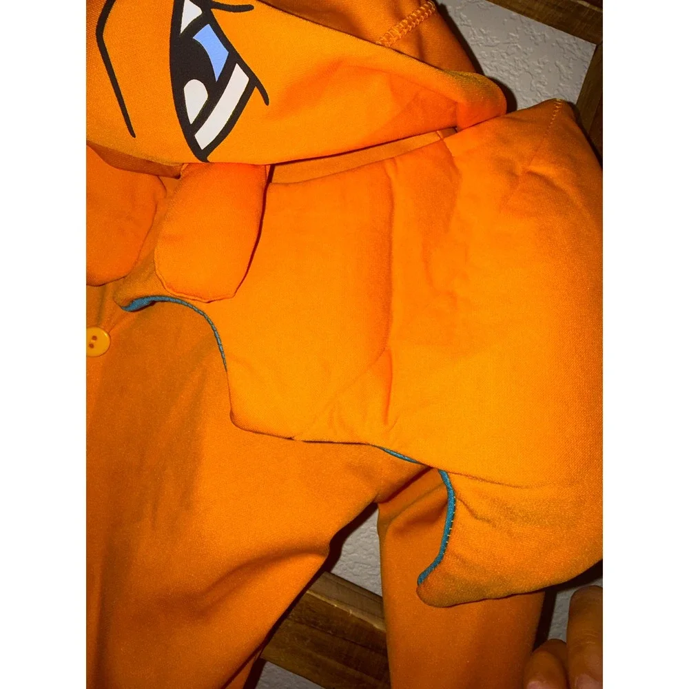Pokemon charizard hooded